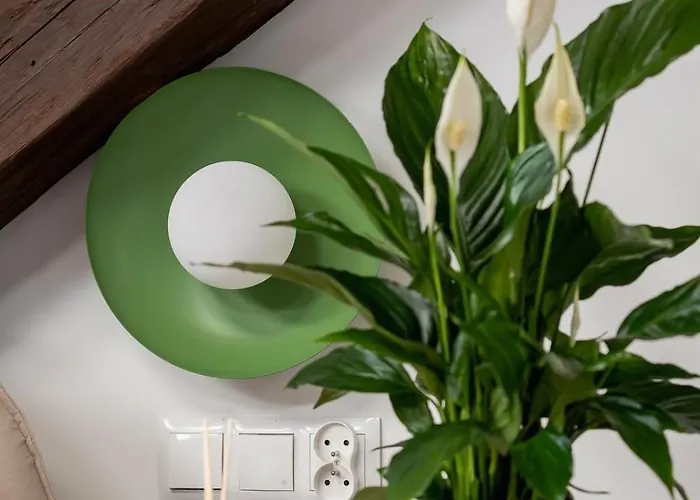 Apartment 5 Bedroom - Terrace, Jacuzzi, Sauna